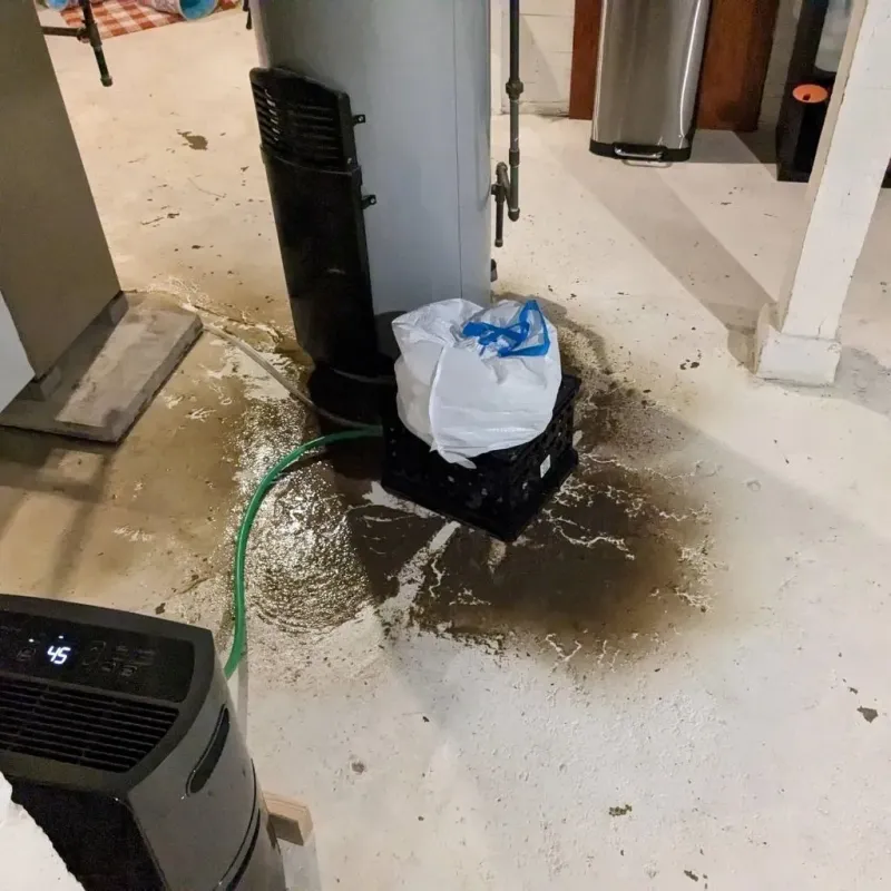 Sewage Backup Cleanup Service in Manitou Beach-Devils Lake, MI